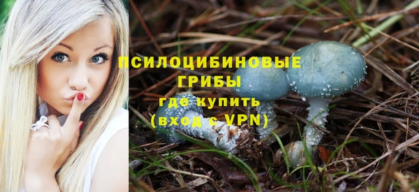 прущая мука Арсеньев