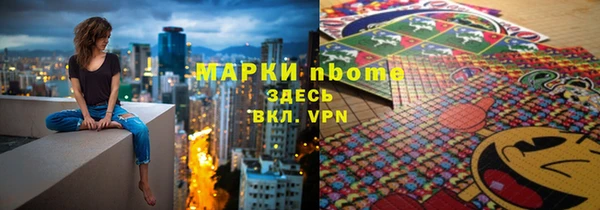 гашик Алексин