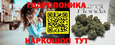 хмурый Сланцы
