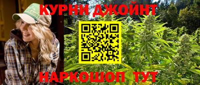 тгк Славгород