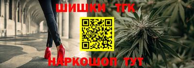 хмурый Сланцы