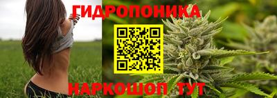 хмурый Сланцы