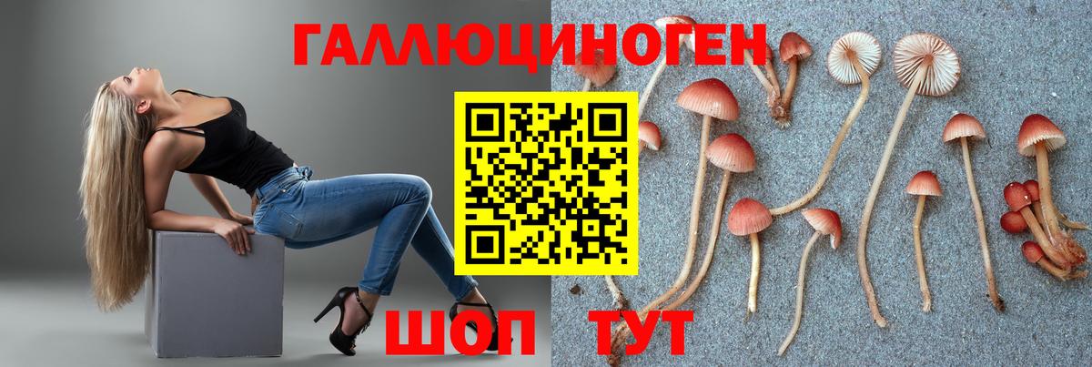 Татарск  Галлюциногенные грибы мухоморы  Вход с VPN  Псилоцибиновые грибы мицелий 