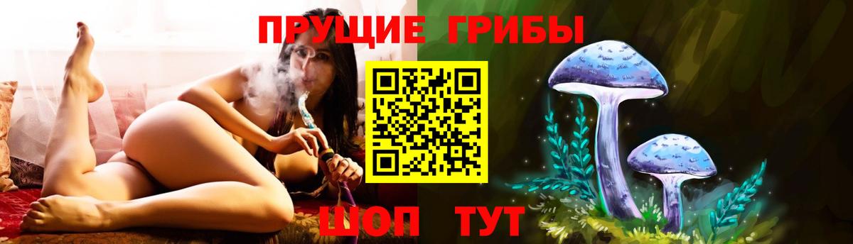 Галлюциногенные грибы MAGIC MUSHROOMS Татарск